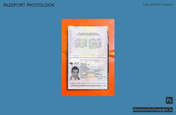 Beispielansicht eines Passfotos für die Ukraine